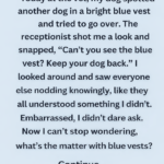 What It Signifies When a Dog Wears a Blue Vest, Leash, or Bandana