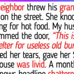 12 Moments That Prove Kindness Isn’t Weakness, It’s a Hidden Superpower