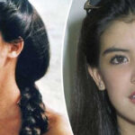 Phoebe Cates is probably best known for her role where she starred as Kate Beringer and was instantly recognizable to most American teens of this era.