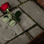 A Single Red Rose Left on Our Doorstep Ended My 20-Year Marriage