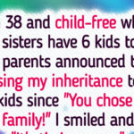 I Refuse to Let My Family Take Away My Inheritance Because I Don’t Have Children