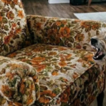 Our Dog Wouldn’t Stop Barking at the Old Armchair We Bought at a Yard Sale – When My MIL Saw It, She Went Pale and Said, ‘We Got Rid of It for a Reason!’