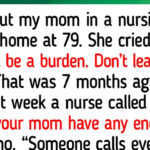 10 Acts of Kindness That Teach Us Compassion Still Guides Lonely Families to Happiness in 2026